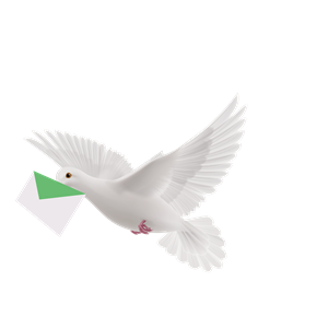 Pigeon PNG-54601